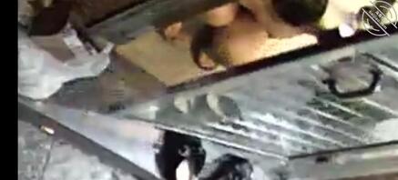 出租屋的小苹果
1