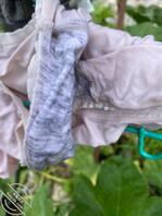 小骚逼天天穿裙子勾引人。有好几次当着我面把腿翘起来流的水把内裤都打湿一大