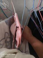 想干她的心思越来越强烈了