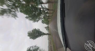 16 离婚的姐姐 端午小长假,带姐姐回老家0