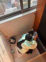 全方位为您展示第三点五部