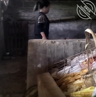 我和农村妈妈的夫妻生活(2)1