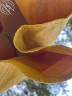 拍了拍她的裙底风光1