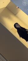 （原创）回归厕拍帖0
