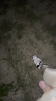 郯城胖小小伪娘 