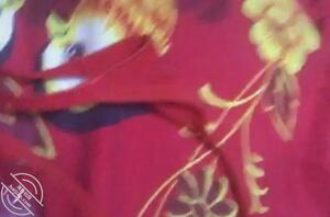 评价一下我妈妈的这条内裤2