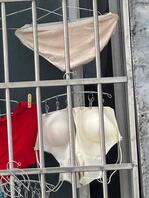 美腿，少妇的新款内衣1