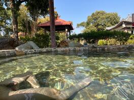 这天气泡温泉真爽，有一起柏拉图式泡温泉吗？1