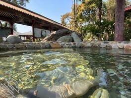 这天气泡温泉真爽，有一起柏拉图式泡温泉吗？2