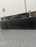 黄岛有没有同好