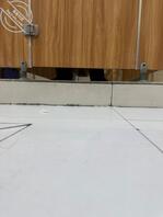 黄岛有没有同好2