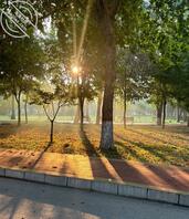 河北女大，寻找河北女大0