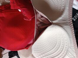 想欢迎大家辱骂我的猪妈母猪