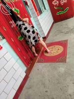 恋母经历,发出来交流交流2