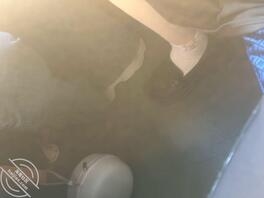 扫楼打胶火车小皮鞋