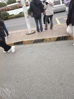 上班路上的风景0