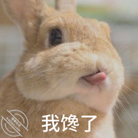 喜欢舔逼，舔屁眼，昆明找熟女阿姨0