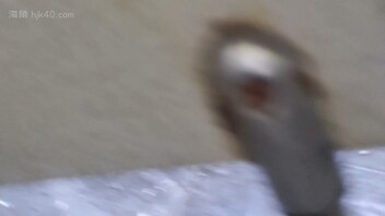 厕拍三角毛粉嫩穴（视频来喽），透明高跟