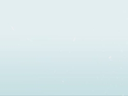 招行客户经理第二部