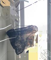 我老婆姐姐的性感蕾丝内裤0