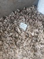 我和我的妈妈 兄弟们我还活着这次作大了0