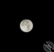 徐州睢宁，姐姐阿姨可交流。0