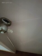 我真实的原创帖4 做梦都没想到嫂子帮我撸甚至射在了嫂子的大奶上