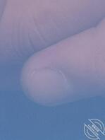 妻子的骚逼屁眼1