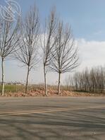 嘉祥附近找一女性朋友0