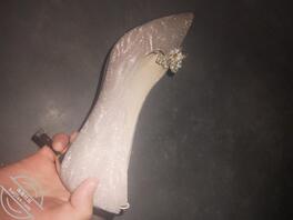 扫楼打胶1