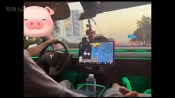 特斯拉车主的口交