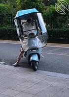 回来了兄弟们！！！0