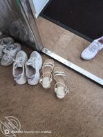 扫楼打胶       母狗老师Day11