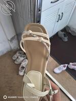 扫楼打胶       母狗老师Day12