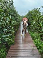 下雨天公园户外露出2