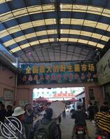 乱伦故事之母子恋(下)0