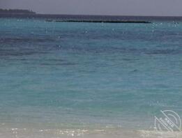 沉迷于妈妈无法自拔0