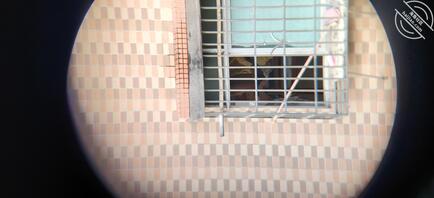 偷拍对面出租屋少妇早上起床换衣服1