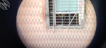 偷拍对面出租屋少妇早上起床换衣服2