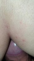 0374许昌后入白虎大屁股女大