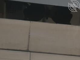 偷拍大学女生上厕所0