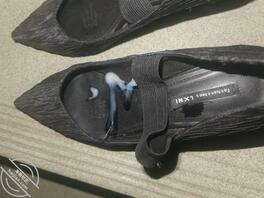 体验感极差的一次扫楼0