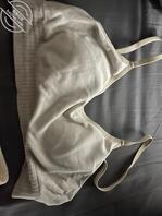 持续更新~女大学生宿舍内衣裤偷拍试穿！