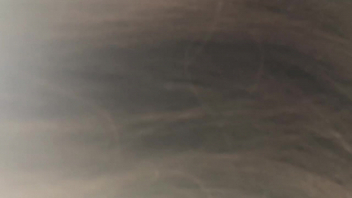 后入大屁股小骚逼