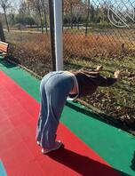 绿母绿姐意淫贡献