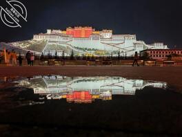 有没有张家口蔚县附近的小姐姐呀0
