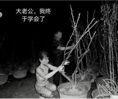 春节破解了爸爸的手提电脑,发现爸妈淫乱的照片0