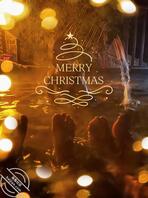 和小哥愉快的一天