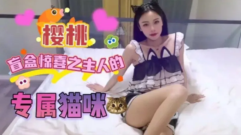 盲盒惊喜之主人的专属猫咪