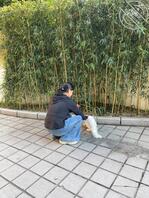 4 周末带侄女跟猫出来玩一下